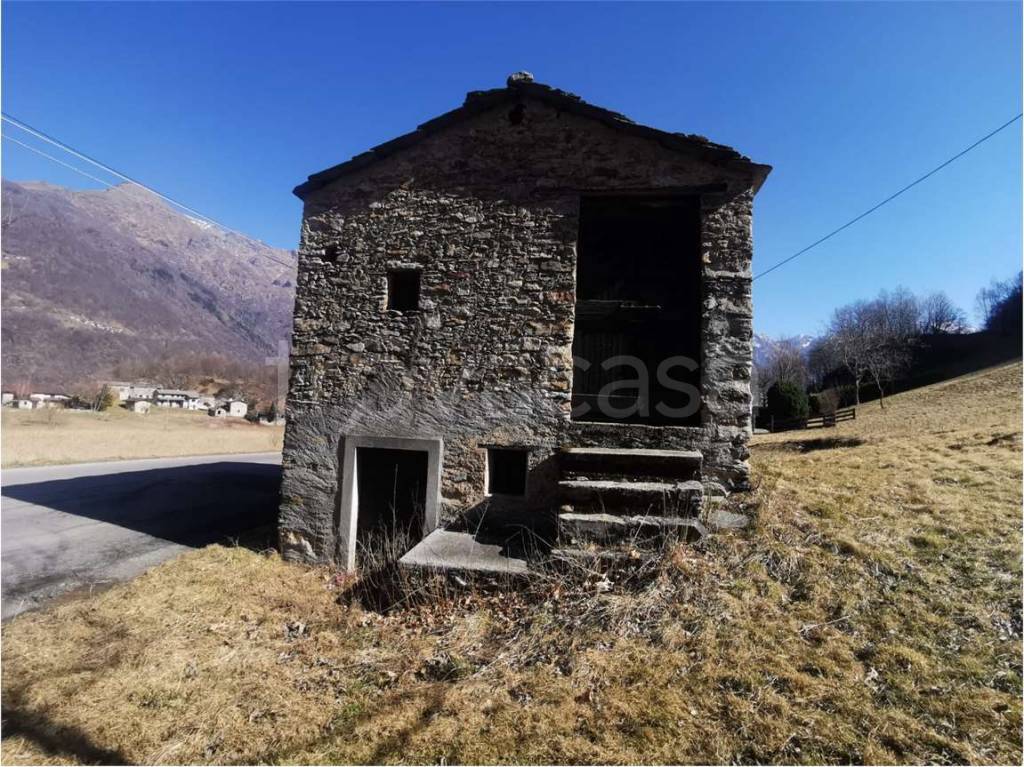 immagine annuncio 4 di 8