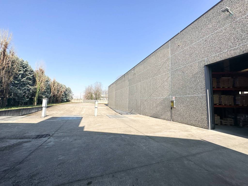 immagine annuncio 6 di 15