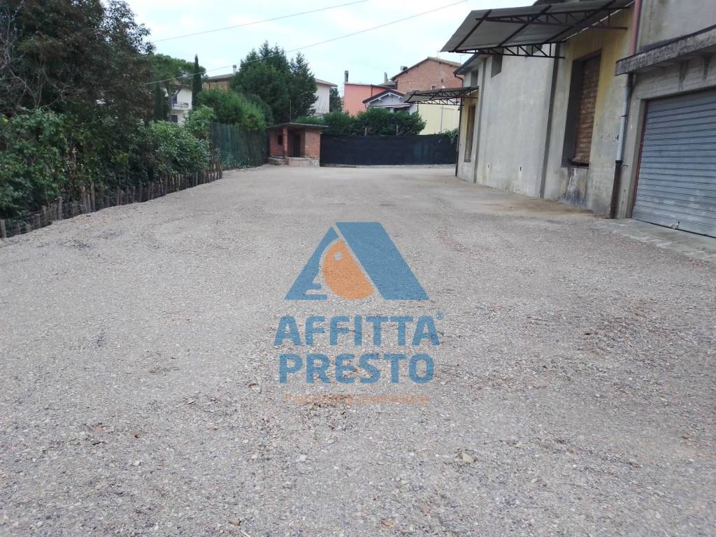 immagine annuncio 3 di 12