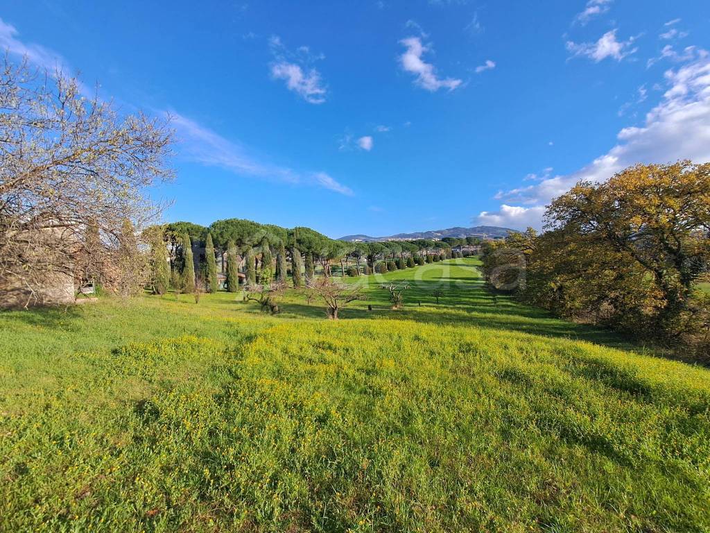 Terreno Residenziale in vendita a Frascati via di Colle Pizzuto, 18