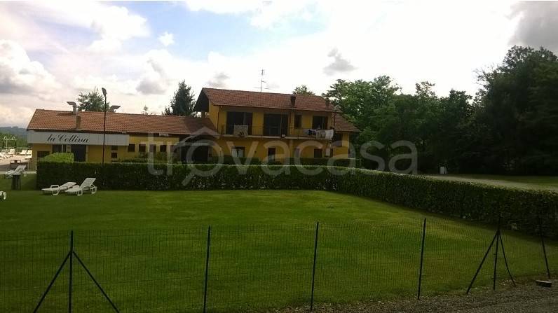 immagine annuncio 5 di 14