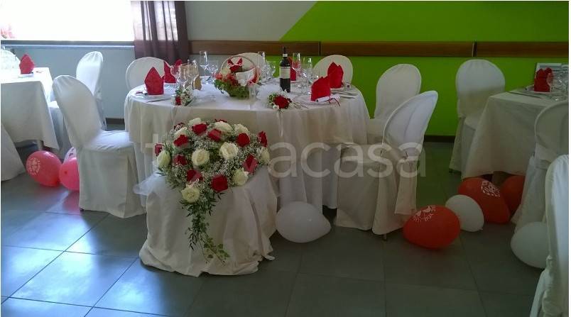 immagine annuncio 9 di 14