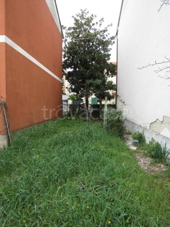 immagine annuncio 12 di 13