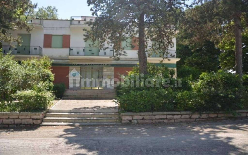 immagine annuncio 2 di 9