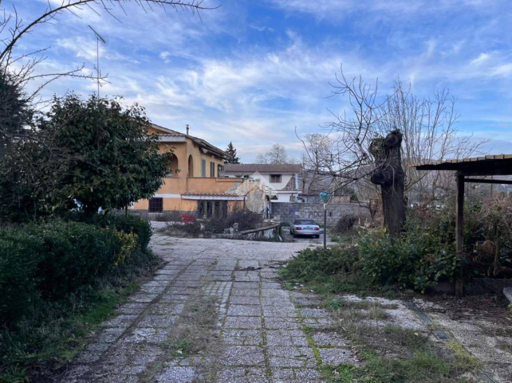 immagine annuncio 1 di 4