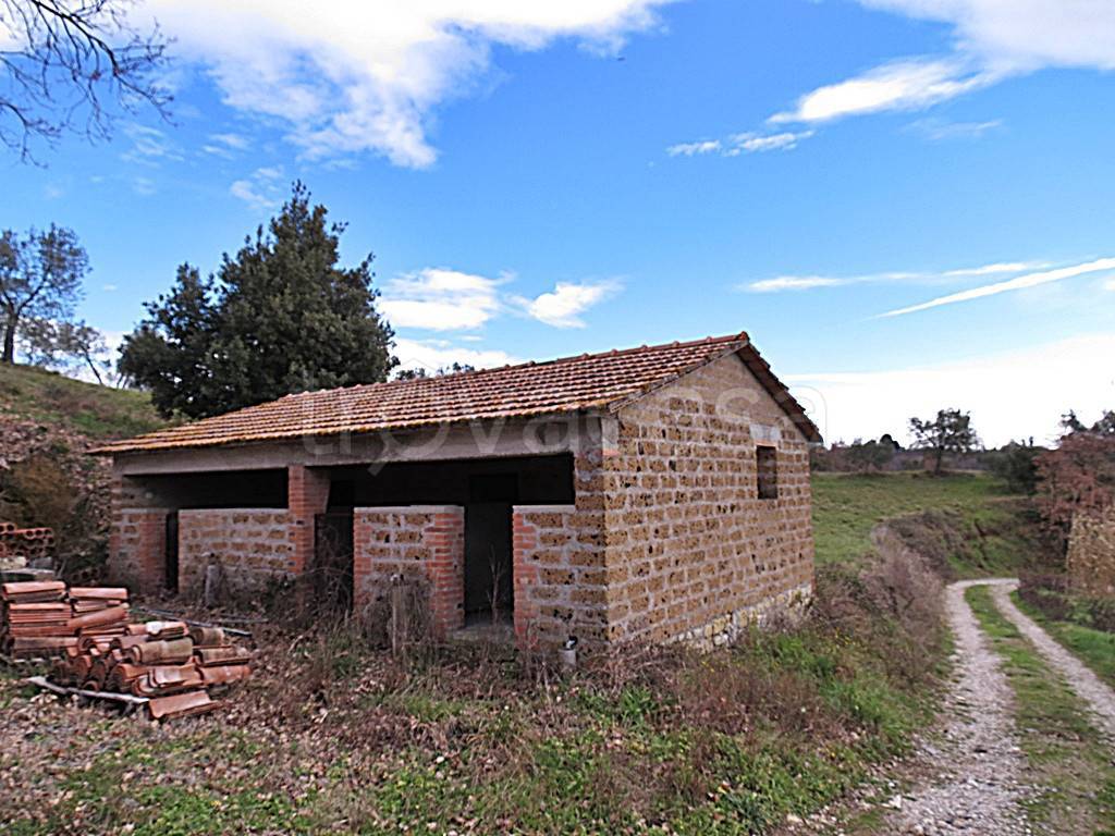 immagine annuncio 11 di 13