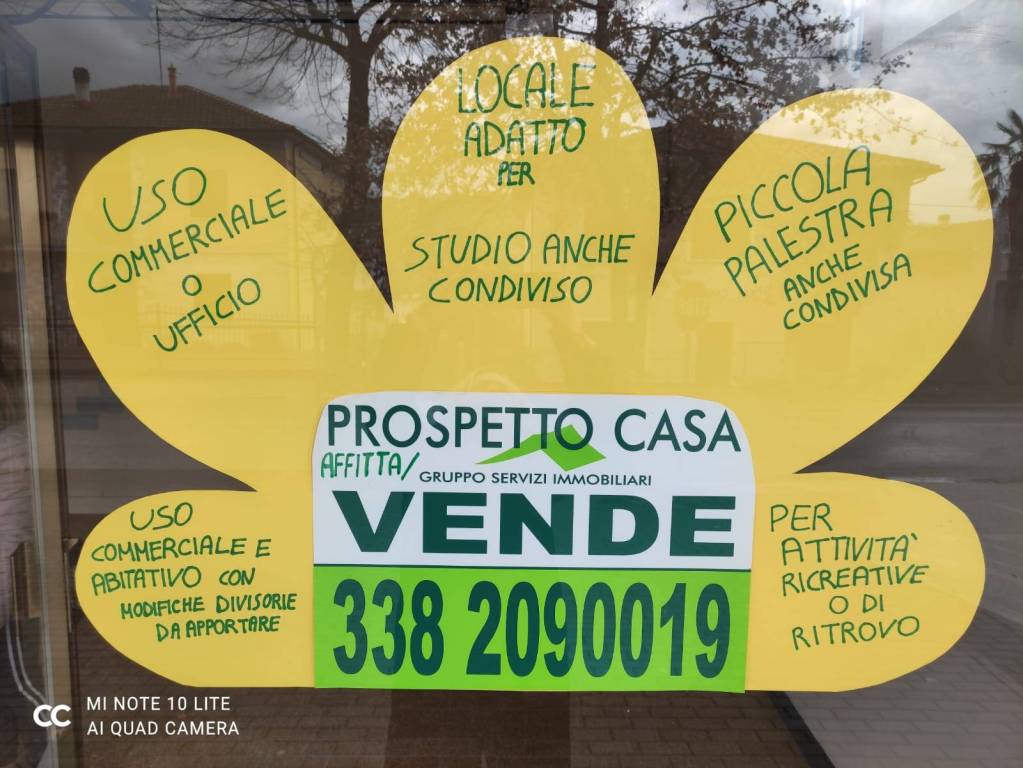 immagine annuncio 11 di 12