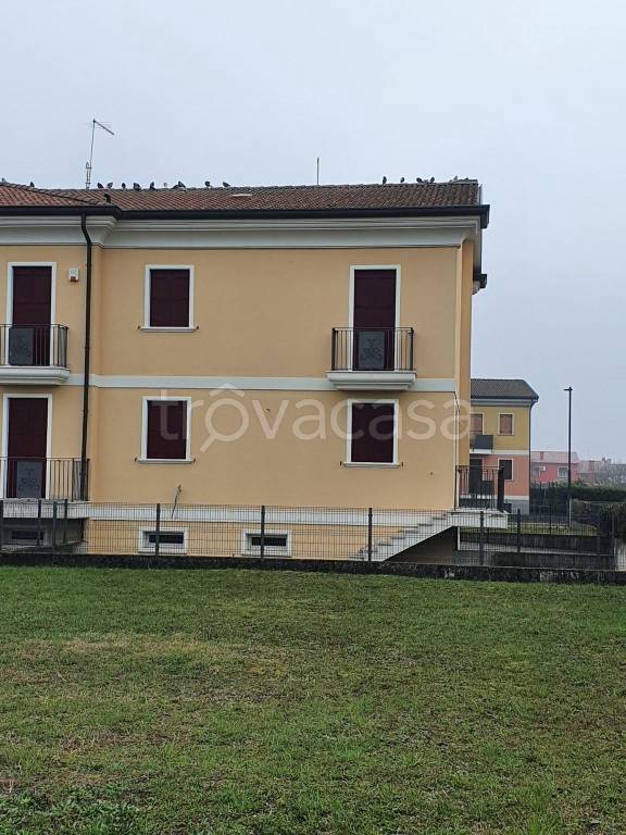 immagine annuncio 4 di 15