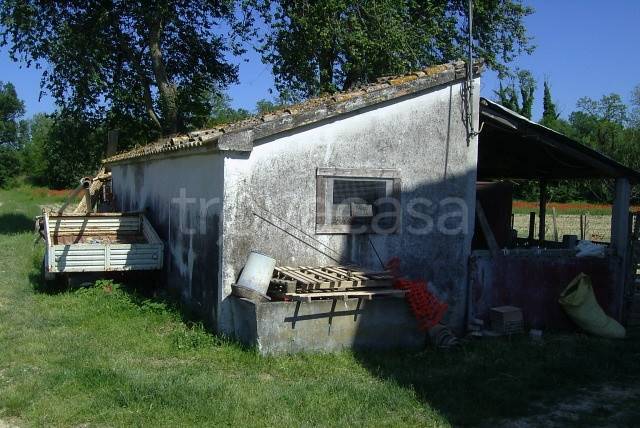 immagine annuncio 4 di 8
