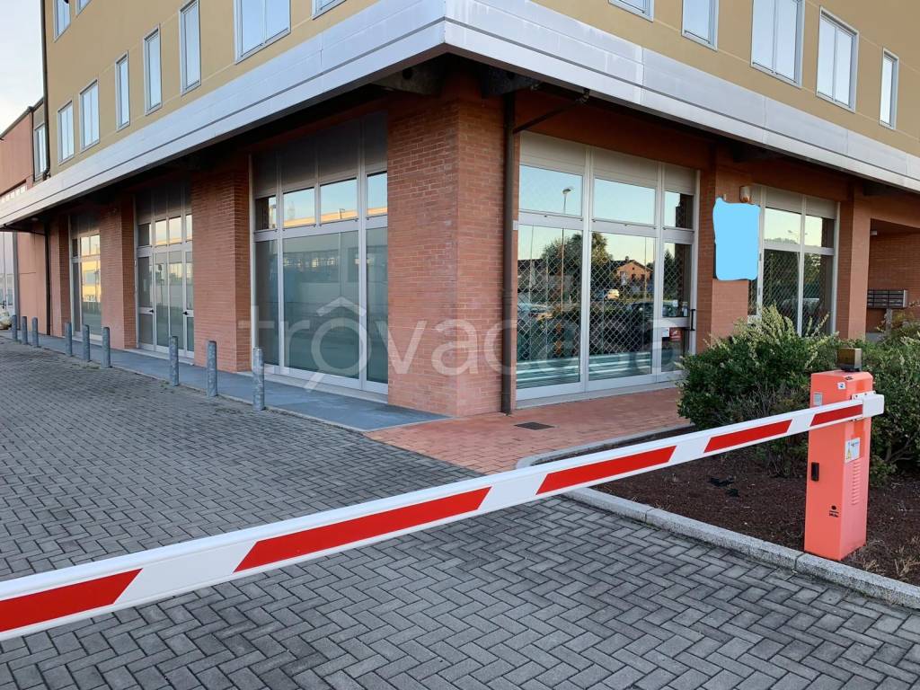 immagine annuncio 6 di 8