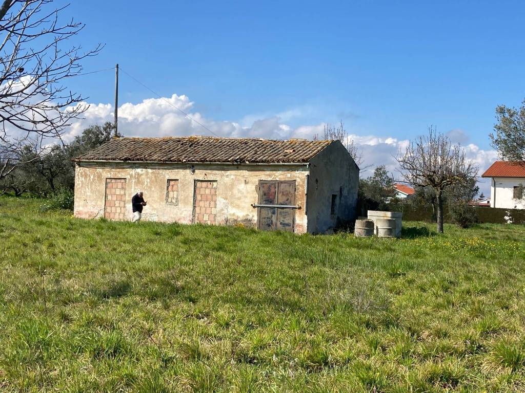 immagine annuncio 11 di 15