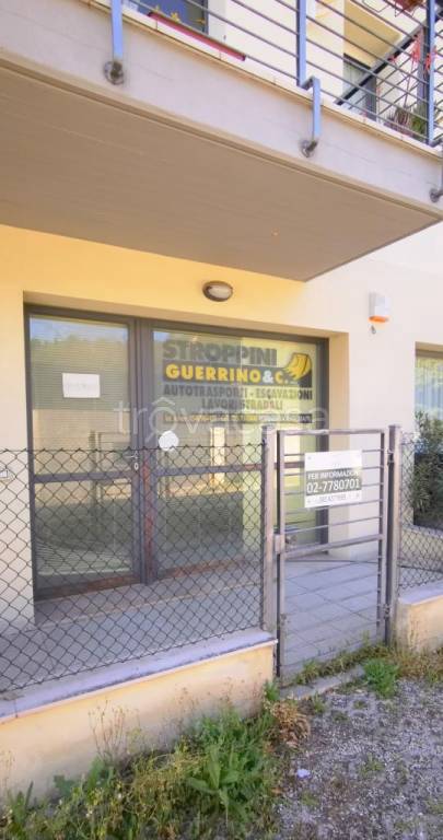 immagine annuncio 7 di 8