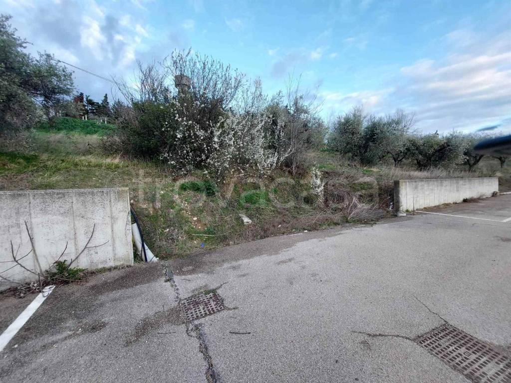 immagine annuncio 1 di 3
