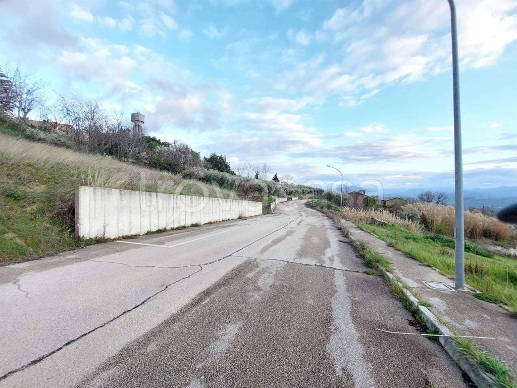 immagine annuncio 2 di 3