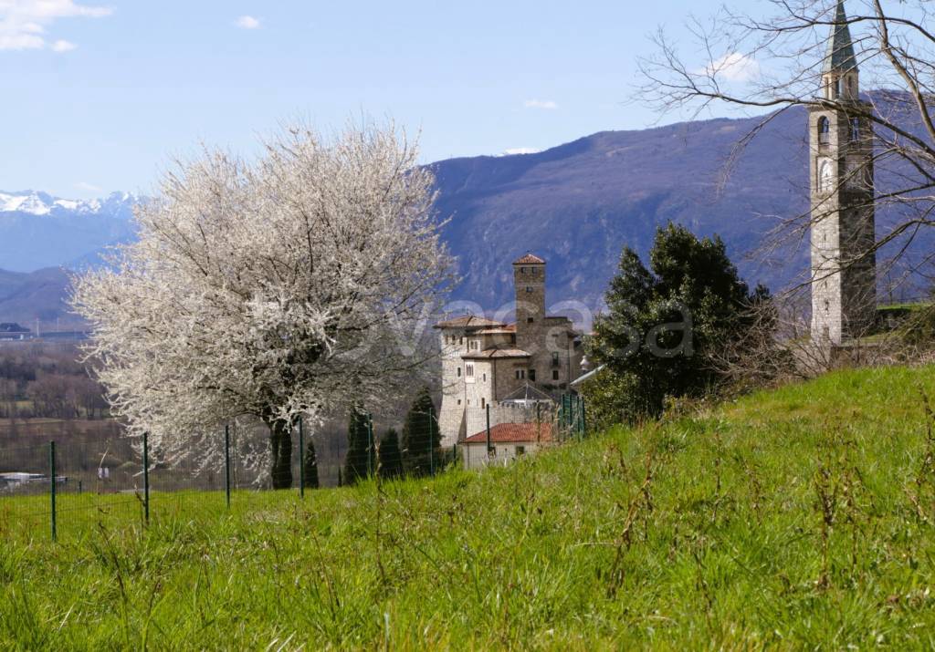 immagine annuncio 9 di 11