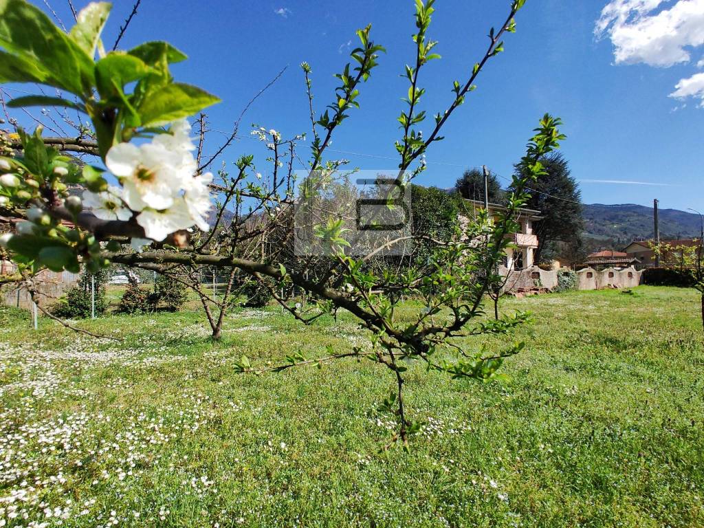 Terreno Residenziale in vendita a Camaiore via Badia