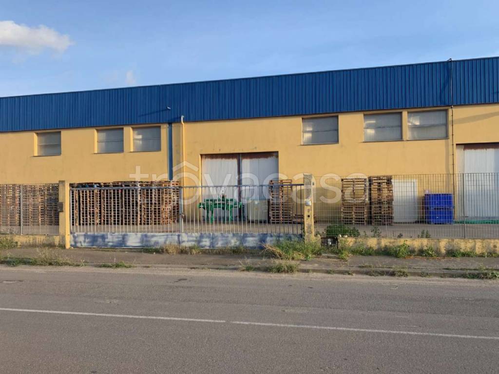 immagine annuncio 2 di 12