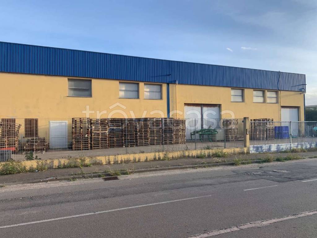 immagine annuncio 3 di 12