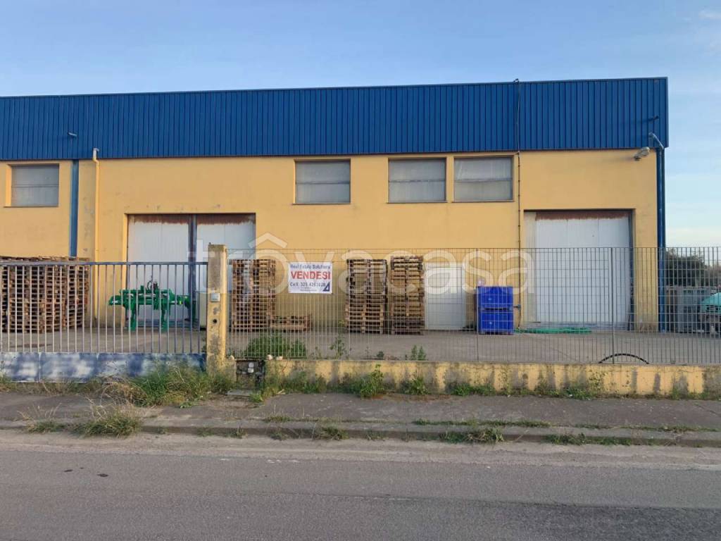 immagine annuncio 4 di 12