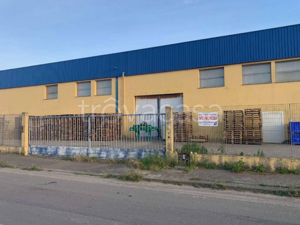 immagine annuncio 5 di 12