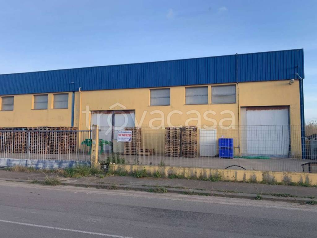 immagine annuncio 6 di 12