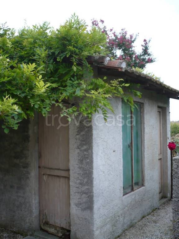 immagine annuncio 11 di 13