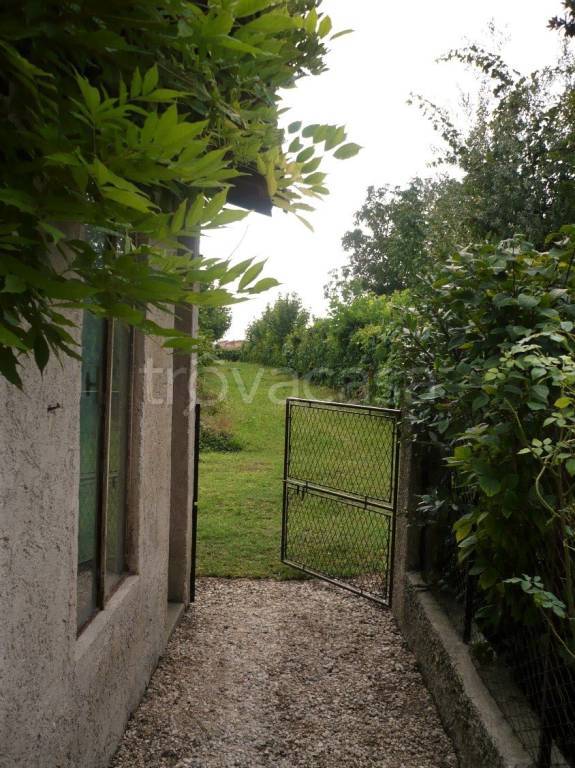 immagine annuncio 12 di 13