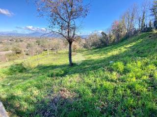 Terreno agricolo in vendita a colonna la macchia