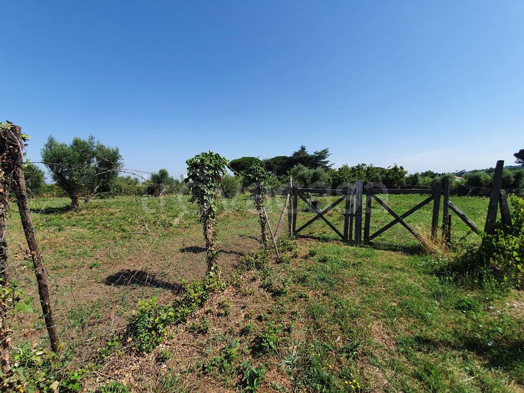 Terreno Agricolo in vendita a Marino via Campofattore, 26