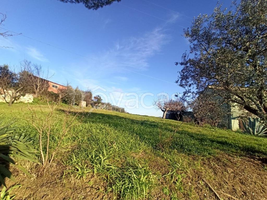 Terreno Residenziale in vendita a Castiglione del Lago via Pozzuolo, 39