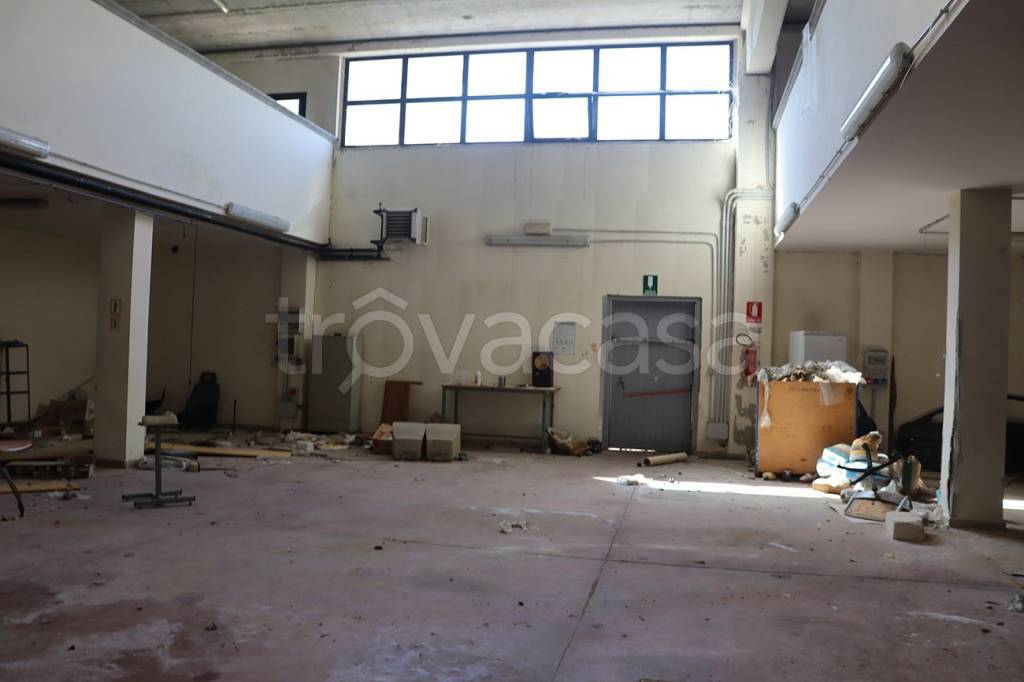 immagine annuncio 6 di 9