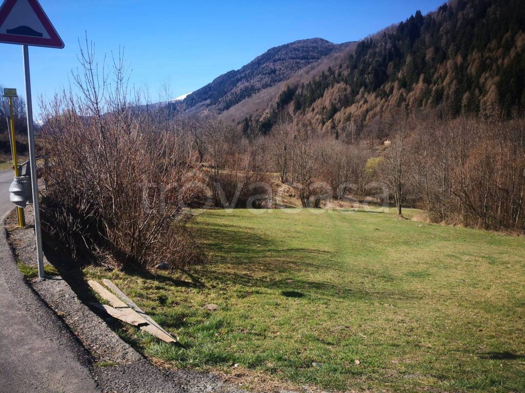 immagine annuncio 3 di 7