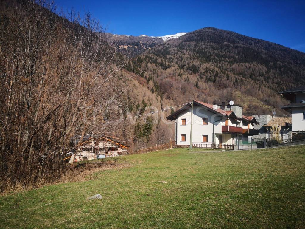 immagine annuncio 4 di 7