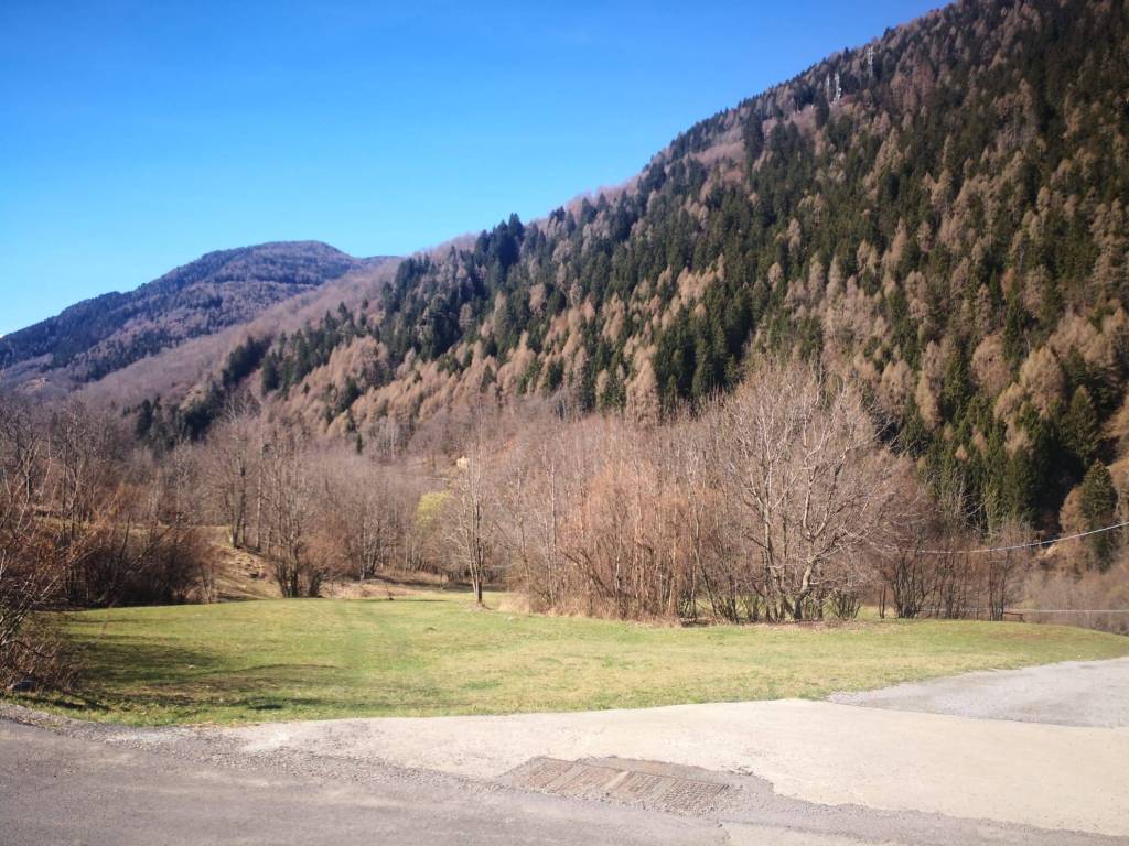 immagine annuncio 6 di 7