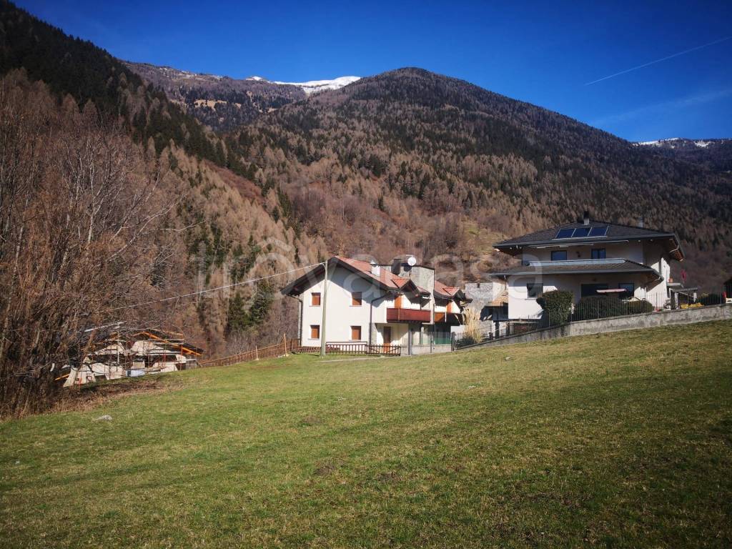 immagine annuncio 3 di 7