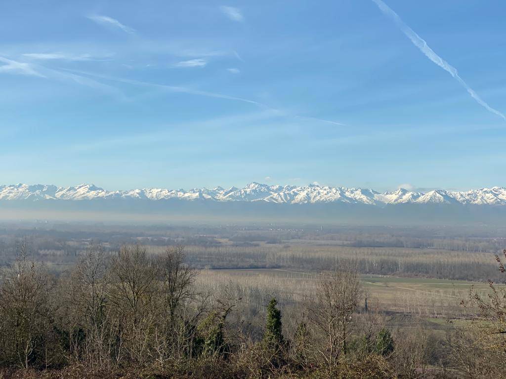 immagine annuncio 13 di 14