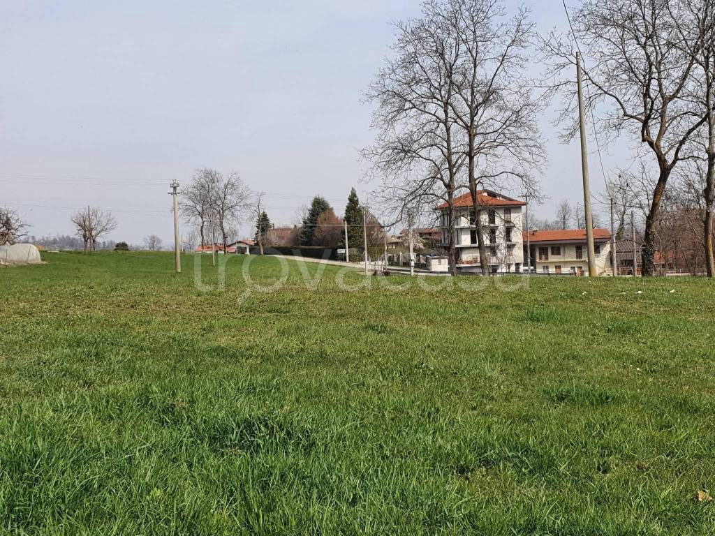 immagine annuncio 2 di 8