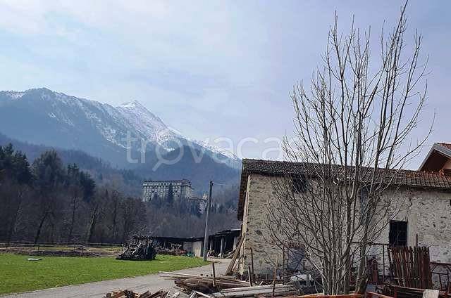 immagine annuncio 4 di 8