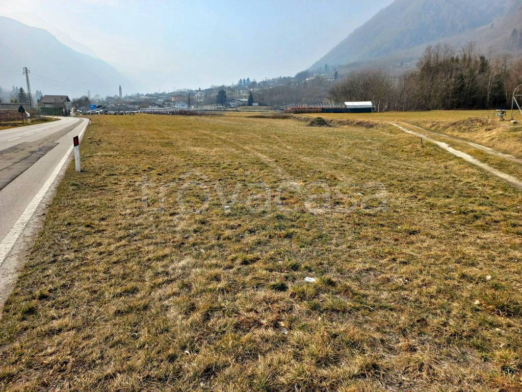 Terreno Agricolo in vendita a Roncegno Terme strada Provinciale Panoramica della Valsugana