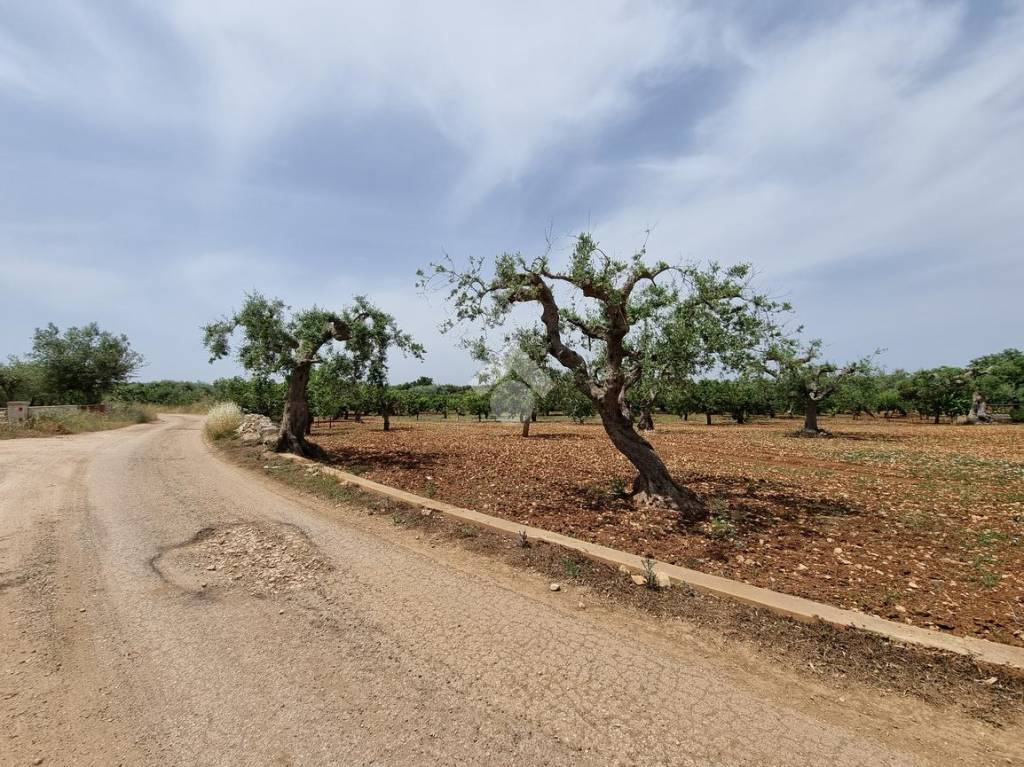 immagine annuncio 4 di 13