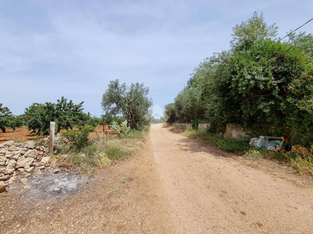 immagine annuncio 10 di 13