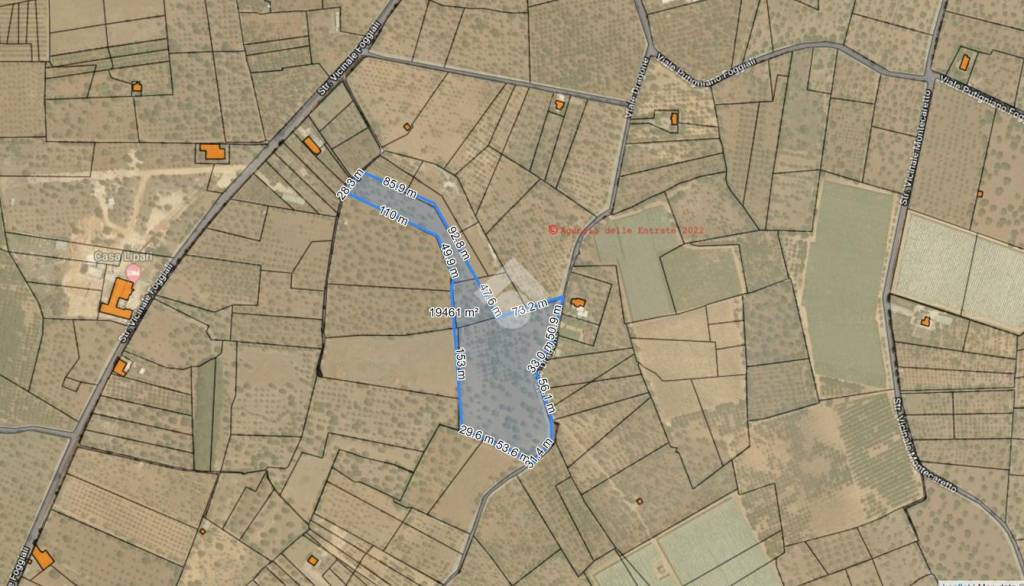 immagine annuncio 12 di 13