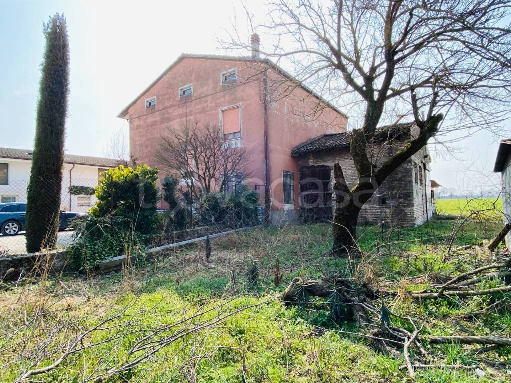 immagine annuncio 7 di 11