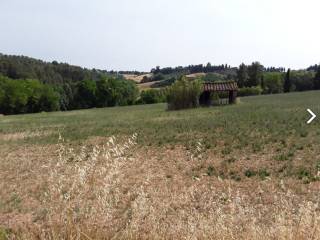 Terreno agricolo in vendita a peccioli via san giusto