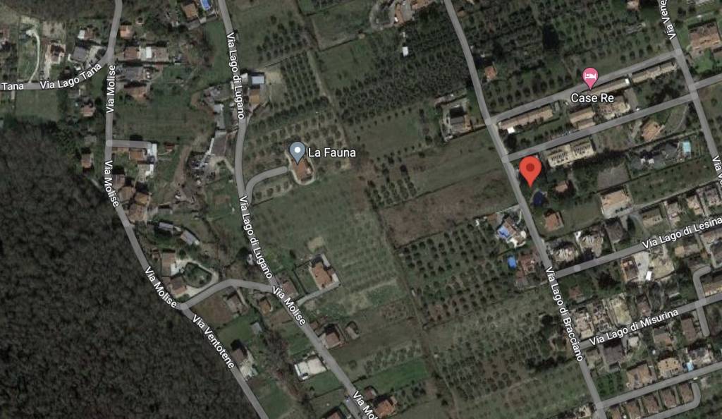 immagine annuncio 2 di 11