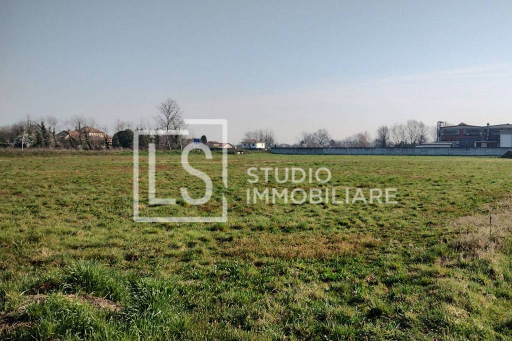 immagine annuncio 5 di 7