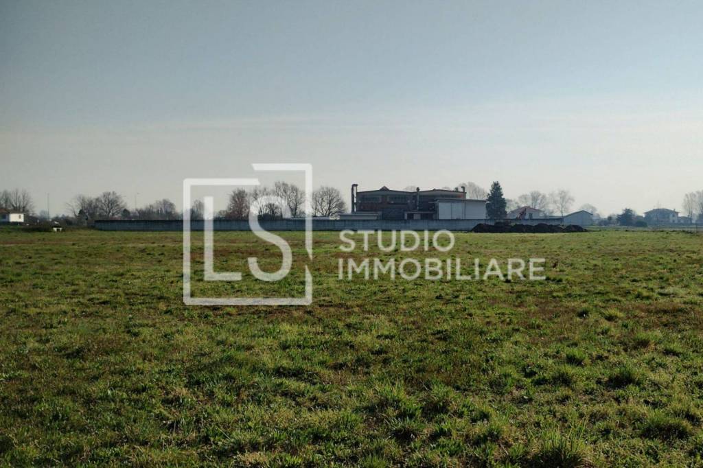 immagine annuncio 6 di 7