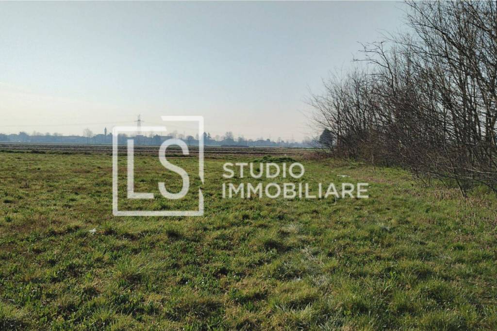 immagine annuncio 1 di 7