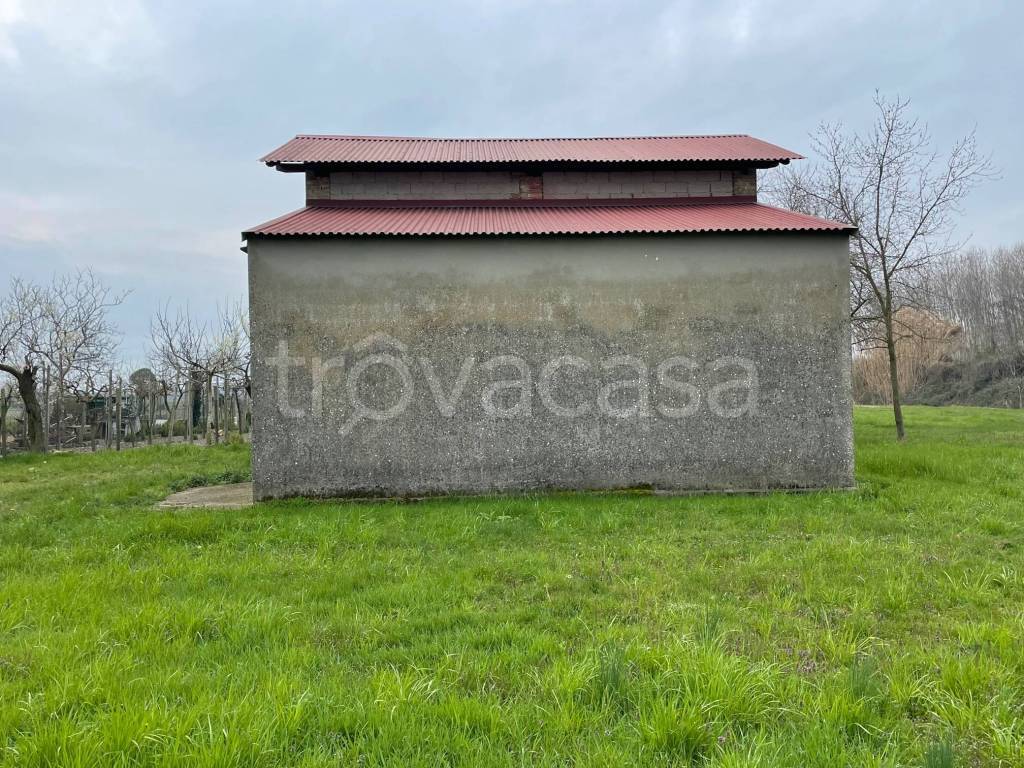 immagine annuncio 10 di 13