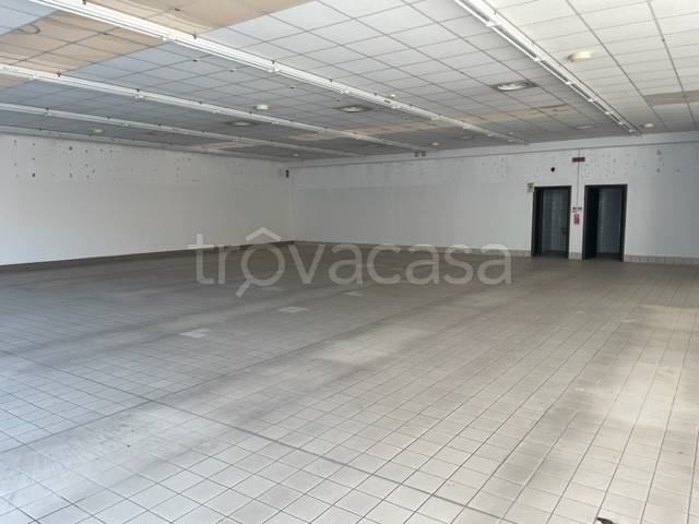 immagine annuncio 1 di 8